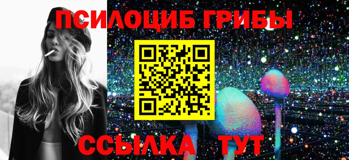 Псилоцибиновые грибы Psilocybine cubensis Ярцево