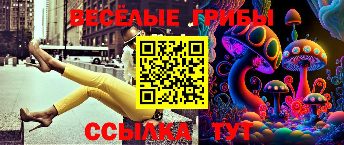 Бошки Шишки  Ярцево  Вход с VPN  Меф МЯУ МЯУ   Кодеин  ГАШ  АМФЕТАМИН  