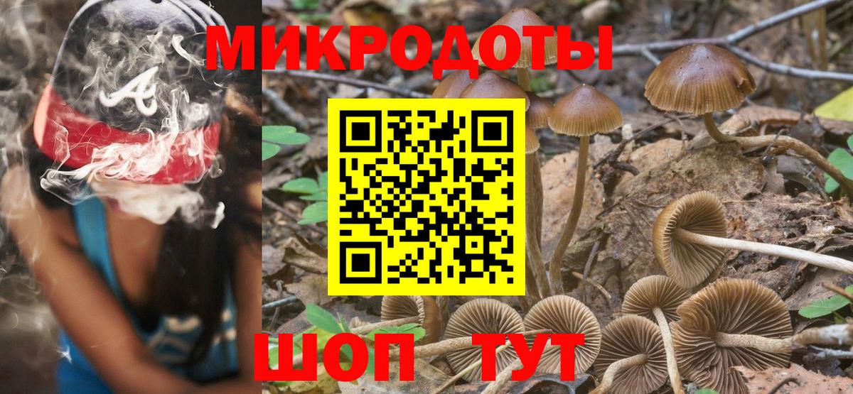 Псилоцибиновые грибы GOLDEN TEACHER  Вход с VPN  Псилоцибиновые грибы ЛСД  Ярцево 