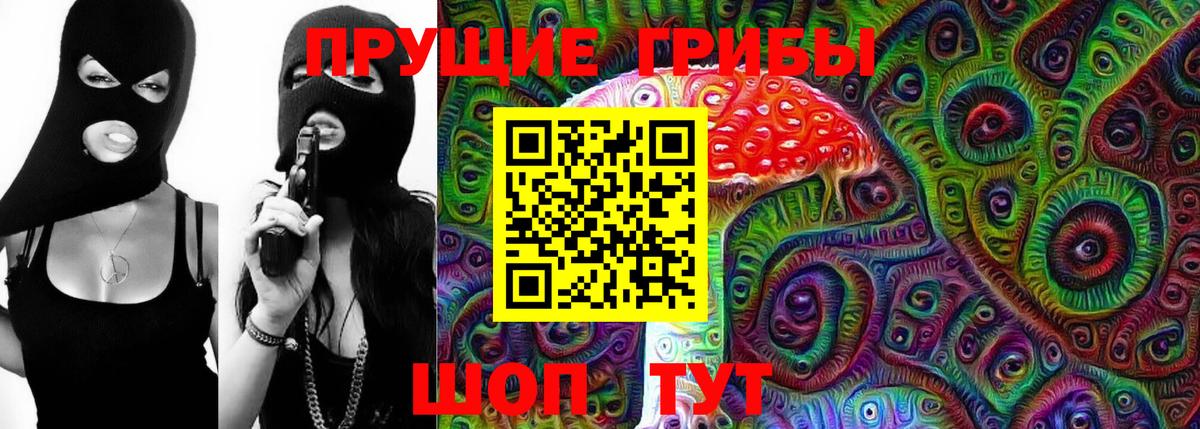 Псилоцибиновые грибы GOLDEN TEACHER  Ярцево  Галлюциногенные грибы Cubensis 